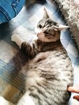 [Twitter] いくみ – (193iKkyu3) (10.11.2022) [2476P116V-1.04GB]
