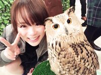 [Twitter] いくみ – (193iKkyu3) (10.11.2022) [2476P116V-1.04GB]
