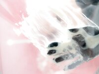 [Fantia] いくみ – (193iKkyu3) Maid 3