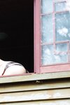[Photobook] 2023.06.30 菊地姫奈「台湾紀行」～白の愛～ＦＲＩＤＡＹデジタル写真集