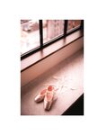 [Photobook] 2019.01.22 生田絵梨花写真集 インターミッション (new scan)