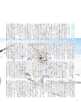 OPスペシャル24年1月号 BOMB Love Special 2023 ＃3