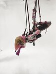 [OnlyFans] Donna Loli
