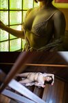 [Photobook] 希代あみ オフィシャル写真集 白い裸