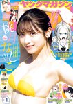[Young Magazine] 週刊ヤングマガジン 2023.12.18 No.01 桃月なしこ 武田智加 宮原華音