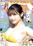 [Young Magazine] 週刊ヤングマガジン 2023.12.18 No.01 桃月なしこ 武田智加 宮原華音