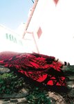 [Photobook] 池田エライザ ファースト写真集 pinturita