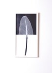 [ROPEMAGiC] Reiji Suzuki - off_balance