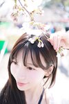 [Patreon] 쏘블리 (@leeesovely) - Sakura No Watermark