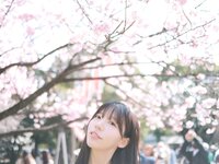 [Patreon] 쏘블리 (@leeesovely) - Sakura No Watermark