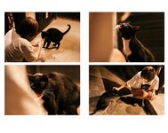 [Photobook] 美東澪 写真集 Nudity (wunder publishing house)