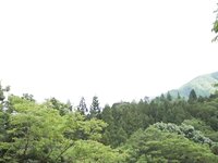 [Photobook] びしょ濡れＯＬ雨宿り強制わいせつ vol.1 中条カノン 松永さな 森本つぐみ (TMA)
