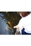 [Photobook] 2022.03.11 クラスメイト 河合あすな【ヌード写真集】 ペーパーバック