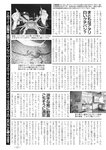 週刊実話 2023年11月16日号