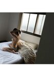 [Photobook] 2022.11.15 とられち 小倉七海