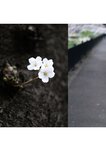[Photobook] 2022.11.15 とられち 小倉七海
