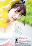 [Young Animal] 2018 No.03 (浅川梨奈 根元凪)