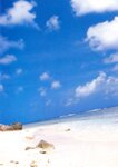 2003.08.18 小倉ありす 写真集 真夏の国のありす