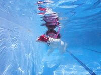 2003.08.18 小倉ありす 写真集 真夏の国のありす