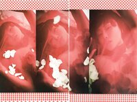 [PhotoBook] Anri Sugihara 杉原杏璃 - AnRibbon