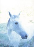 2002.10.23 相楽のり子 写真集 on／off