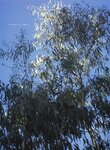 2002.10.23 相楽のり子 写真集 on／off