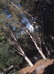 2002.10.23 相楽のり子 写真集 on／off