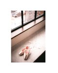 [Photobook] Erika Ikuta 生田絵梨花 - Intermission インターミッション (3rd scan)