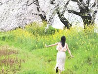 [Photobook] 2023.10.03 乃木坂46 遠藤さくら1st写真集 可憐
