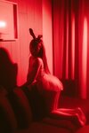 [DCP-snaps] Vanessa Vol.9 - Halloween Red Series