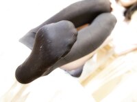 (Cosplay) Kei Shino 志乃蛍 - THE 絶対領域 2009.08.15