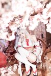 [Cosplay] Aiwest 艾西 - Eternal Walnut 永劫胡桃