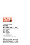 FLASHデジタル写真集 神部美咲 初デートは自宅で VOL.1