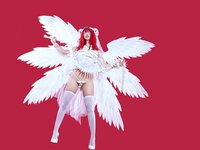 云溪 奶桃桃 14sets