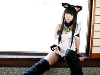 [Cosplay] Rin Higurashi 日暮りん - Catgirl うちのにゃんこ