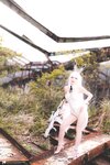[Cosplay][Fantasy Factory] Xiaoding 小丁 - Blanc