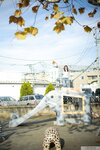 [Graphis] Gals – Nana Miho 未歩なな VIVACIOUS vol.1