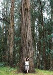 2016.02.29 石川恋ファースト写真集「LOVE LETTERS」