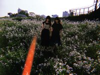 [BRODY(ブロディ)] 2018年06月号