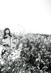 [BRODY(ブロディ)] 2018年06月号