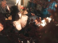 [Cosplay] Chun Momo 蠢沫沫 - Koakagi 小赤城