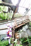 [Cosplay][Hitori de Dekirumon. ひとりでできるもん] Kain かいん - Kaingerous Beast カインジャラス・ビースト