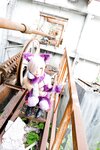 [Cosplay][Hitori de Dekirumon. ひとりでできるもん] Kain かいん - Kaingerous Beast カインジャラス・ビースト