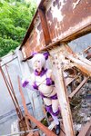 [Cosplay][Hitori de Dekirumon. ひとりでできるもん] Kain かいん - Kaingerous Beast カインジャラス・ビースト