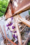 [Cosplay][Hitori de Dekirumon. ひとりでできるもん] Kain かいん - Kaingerous Beast カインジャラス・ビースト