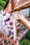 [Cosplay][Hitori de Dekirumon. ひとりでできるもん] Kain かいん - Kaingerous Beast カインジャラス・ビースト