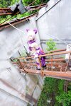 [Cosplay][Hitori de Dekirumon. ひとりでできるもん] Kain かいん - Kaingerous Beast カインジャラス・ビースト