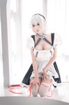 [Cosplay] 西园寺南歌写真 女仆本 天狼星