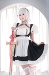 [Cosplay] 西园寺南歌写真 女仆本 天狼星