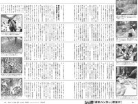 [Weekly Playboy] 2024 No.07 (筧美和子 大原優乃 菜那セシル 菊地姫奈 前川莉珠 鈴原希実 神木玲美 他)